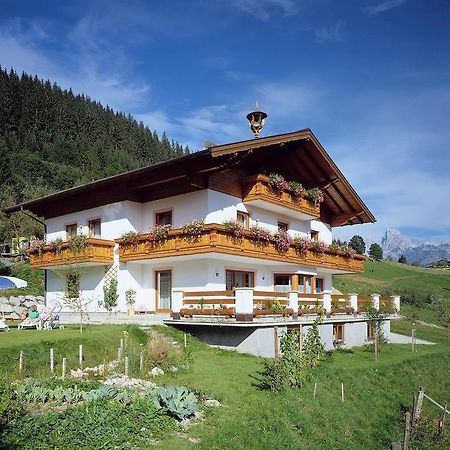 Ferienhaus Rosi Sankt Martin am Tennengebirge Εξωτερικό φωτογραφία