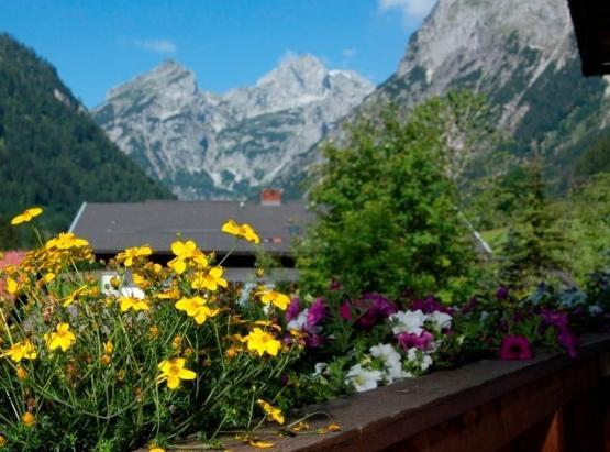 Ferienhaus Rosi Sankt Martin am Tennengebirge Δωμάτιο φωτογραφία